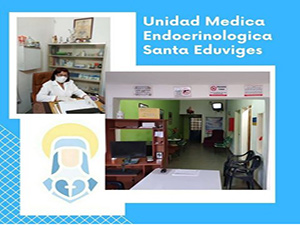 Unidad Médica Endocrinológica Santa Eduviges C.A.